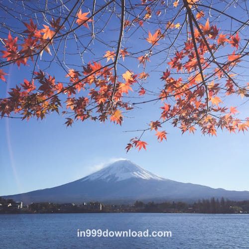 Member Ananya Avatar